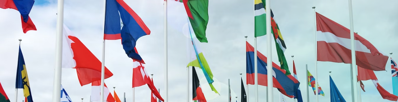 International Flags