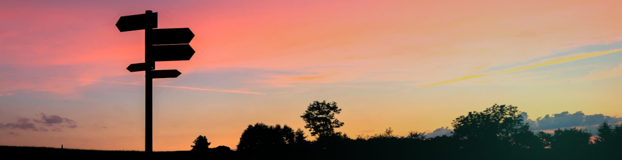 Silhouette of signs pointing many directions